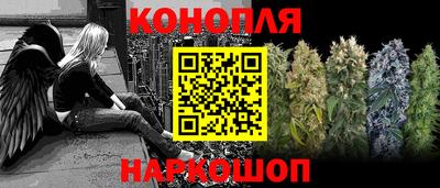 шишки Новокубанск