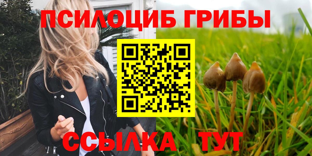 Галлюциногенные грибы мицелий Торжок