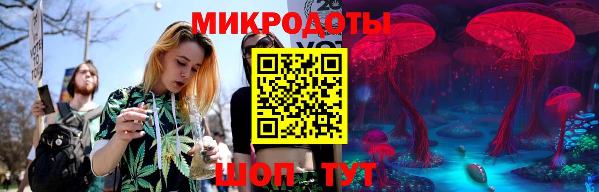 Псилоцибиновые грибы Cubensis  Вход с VPN  Торжок 